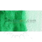 Materiais Belas Artes - Aquarela W&N, 1/2 godet, Verde Intenso | totenart.com