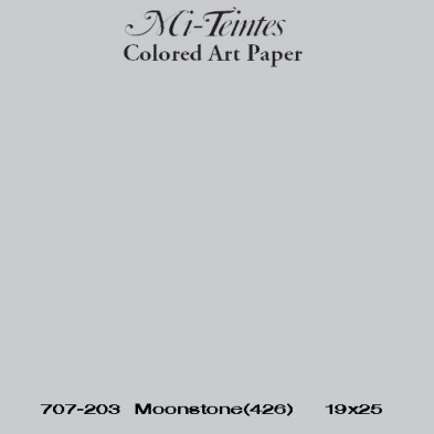 Mi-teintes Canson Cinza Claro, 160 gr., 50x65 cm.