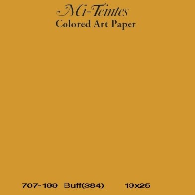 Mi-teintes Canson Salmao, 160 gr., 50x65 cm.