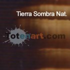 Materiais Belas Artes - Oleo Titan Extra Fino, Terra Sombra Natural, 60 ml. | totenart.com