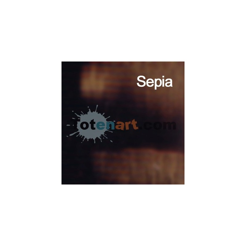 Materiais Belas Artes - Oleo Titan Extra Fino, Sepia, 60 ml. | totenart.com