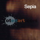 Materiais Belas Artes - Oleo Titan Extra Fino, Sepia, 60 ml. | totenart.com