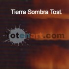 Materiais Belas Artes - Oleo Titan Extra Fino, Terra Sombra Queimada, 20 ml. | totenart.com