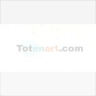 Materiais Belas Artes - Oleo Van Gogh Branco de Zinc, 60 ml. | totenart.com