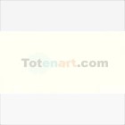 Materiais Belas Artes - Oleo Van Gogh Branco de Titanio, 60 ml. | totenart.com