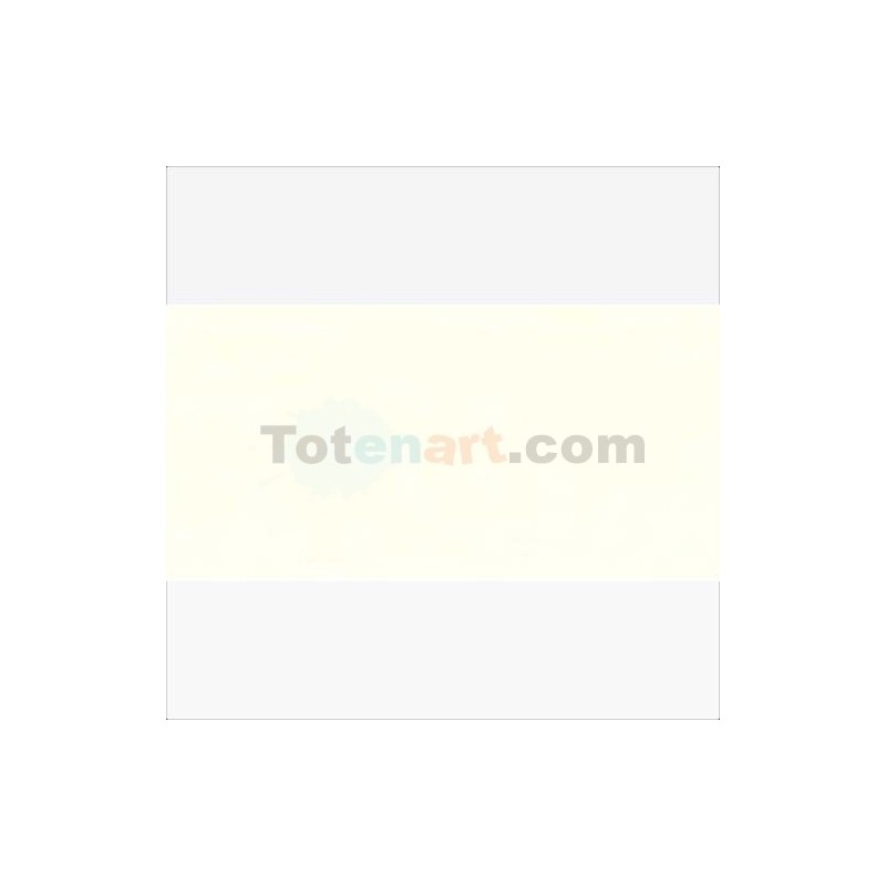 Materiais Belas Artes - Oleo Van Gogh Branco de Titanio (Linhaça), 60 ml. | totenart.com