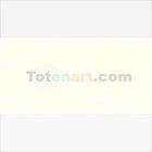 Materiais Belas Artes - Oleo Van Gogh Branco de Titanio (Linhaça), 60 ml. | totenart.com