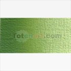 Materiais Belas Artes - Oleo Van Gogh Verde Bexiga, 60 ml. | totenart.com