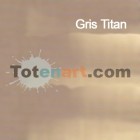 Materiais Belas Artes - Oleo Titan Goya, Cinza Goya, 60 ml. | totenart.com