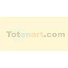 Marcador Tombow Peach dual brush pen