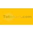 Marcador Tombow Light Orange dual brush pen