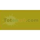 Marcador Tombow Avocado dual brush pen