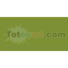 Marcador Tombow Dark Olive dual brush pen