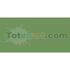 Marcador Tombow Aspargus dual brush pen