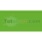 Marcador Tombow Light Green dual brush pen