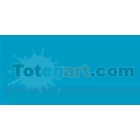 Marcador Tombow Turquoise dual brush pen