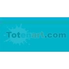 Marcador Tombow Process Blue dual brush pen