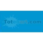 Marcador Tombow Cyan dual brush pen