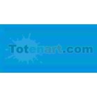 Marcador Tombow Light Blue dual brush pen