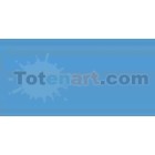 Marcador Tombow Peacock Blue dual brush pen