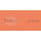 Marcador Tombow Coral dual brush pen