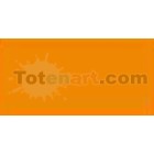 Marcador Tombow Gold Ochre dual brush pen