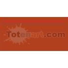 Marcador Tombow Burnt Sienna dual brush pen