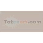 Marcador Tombow Warm Gray 2 dual brush pen