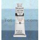 Tinta Aquawash Charbonnel Cinza de Payne, 60 ml.