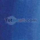 Tinta Desenho Azul Ultramarino, Winsor & Newton, 14 ml.