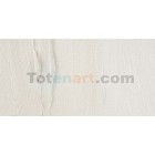 Materiais Belas Artes - Oleo Artstis Winsor & Newton, Branco Iridiscente, 37 ml. | totenart.com