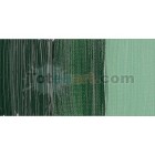 Materiais Belas Artes - Oleo Artstis Winsor & Newton, Terra Verde, 37 ml. | totenart.com