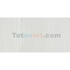 Materiais Belas Artes - Oleo Artstis Winsor & Newton, Branco de base, 37 ml. | totenart.com