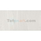 Materiais Belas Artes - Oleo Artstis Winsor & Newton, Branco de Zinc, 37 ml. | totenart.com