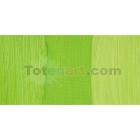 Materiais Belas Artes - Oleo Artstis Winsor & Newton, Verde Cadmio Palido, 37 ml. | totenart.com