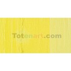 Materiais Belas Artes - Oleo Artstis Winsor & Newton, Amarelo Bismuto, 37 ml. | totenart.com