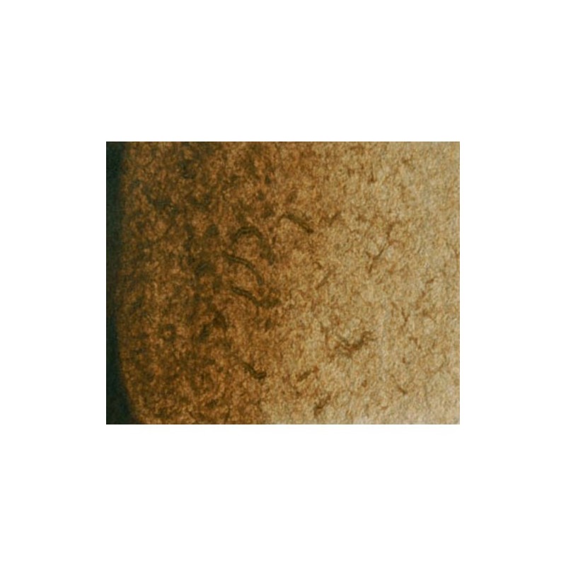 Materiais Belas Artes - Aquarela Artist Sombra Queimada 5 ml, W N 076 | totenart.com