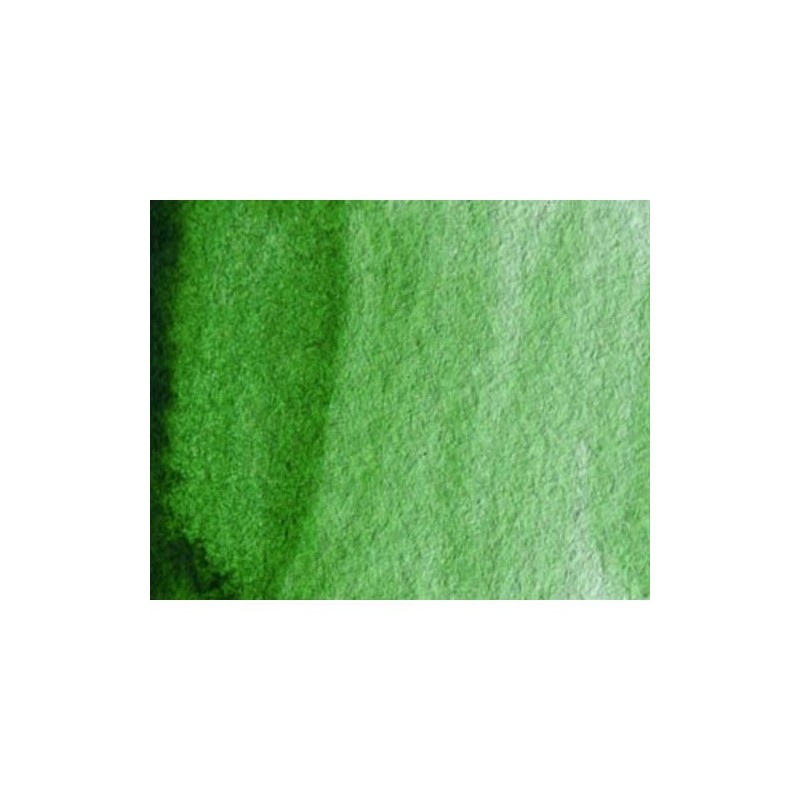 Materiais Belas Artes - Aquarela Artist Verde Hooker 5 ml, W N 311 | totenart.com