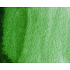 Materiais Belas Artes - Aquarela Artist Verde Hooker 5 ml, W N 311 | totenart.com