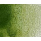 Materiais Belas Artes - Aquarela Artist Verde Oliva 5 ml, W N 447 | totenart.com