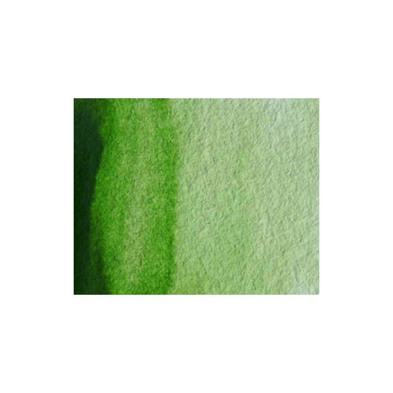 Materiais Belas Artes - Aquarela Artist Verde Vejiga Perm. 5 ml, W N 503 | totenart.com