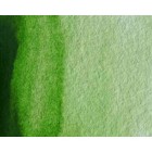 Materiais Belas Artes - Aquarela Artist Verde Vejiga Perm. 5 ml, W N 503 | totenart.com