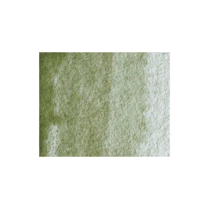 Materiais Belas Artes - Aquarela Artist Terra Verde (somb. amarelo) 5 ml, W N 638 | totenart.com