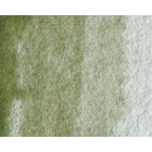 Materiais Belas Artes - Aquarela Artist Terra Verde (somb. amarelo) 5 ml, W N 638 | totenart.com