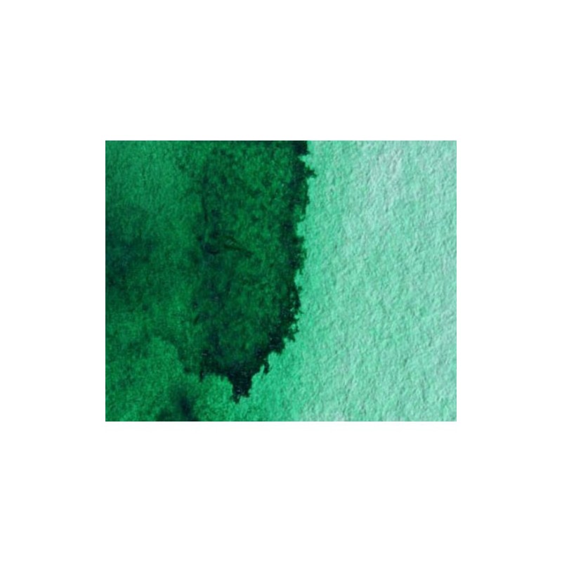 Materiais Belas Artes - Aquarela Artist Verde Winsor (sombra amarilla) 5 ml, W N 721 | totenart.com