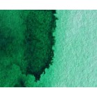 Materiais Belas Artes - Aquarela Artist Verde Winsor (sombra amarilla) 5 ml, W N 721 | totenart.com