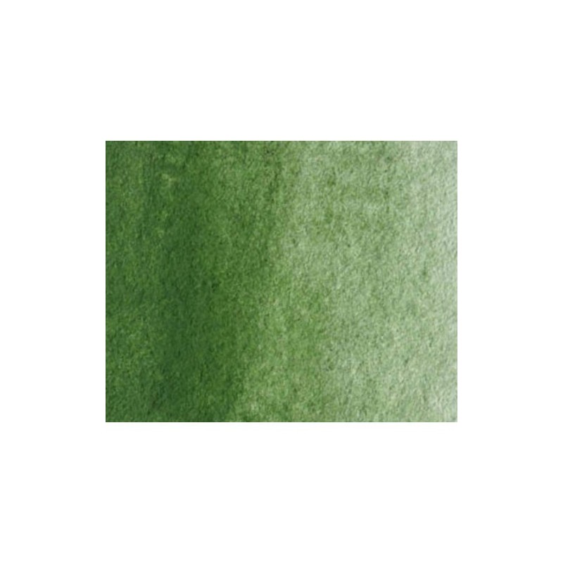 Materiais Belas Artes - Aquarela Artist Oxido de Cromo 5 ml, W N 459 | totenart.com