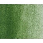 Materiais Belas Artes - Aquarela Artist Oxido de Cromo 5 ml, W N 459 | totenart.com