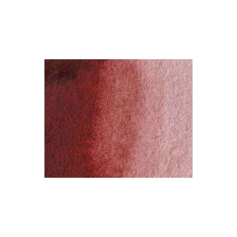 Materiais Belas Artes - Aquarela Artist Marrom Perileno 5 ml, W N 507 | totenart.com