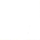 Materiais Belas Artes - Oleo Winton W&N, Branco Titanio, 200 ml. | totenart.com